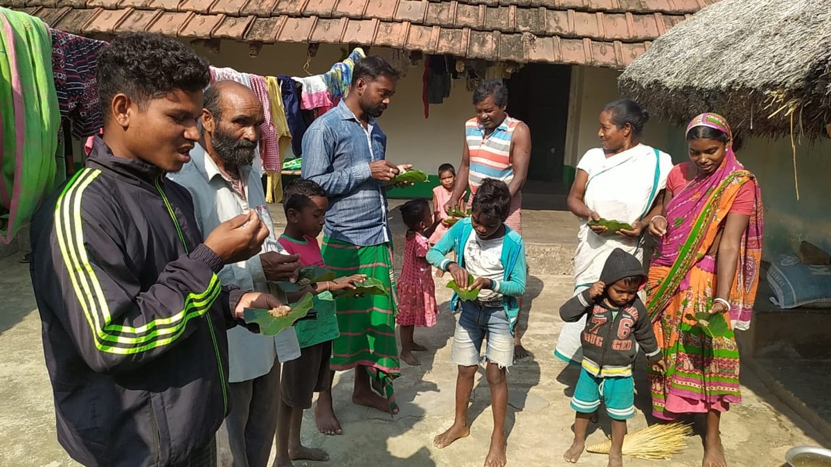 यहां लाल चींटी को पीसकर खाते हैं लोग, ठंड से बचाव और भूख बढ़ाने के लिए करते हैं इस्‍तेमाल 