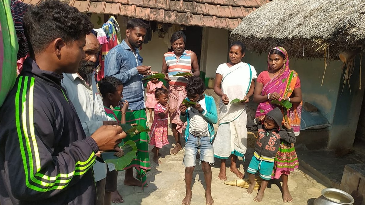 यहां लाल चींटी को पीसकर खाते हैं लोग, ठंड से बचाव और भूख बढ़ाने के लिए करते हैं इस्‍तेमाल 