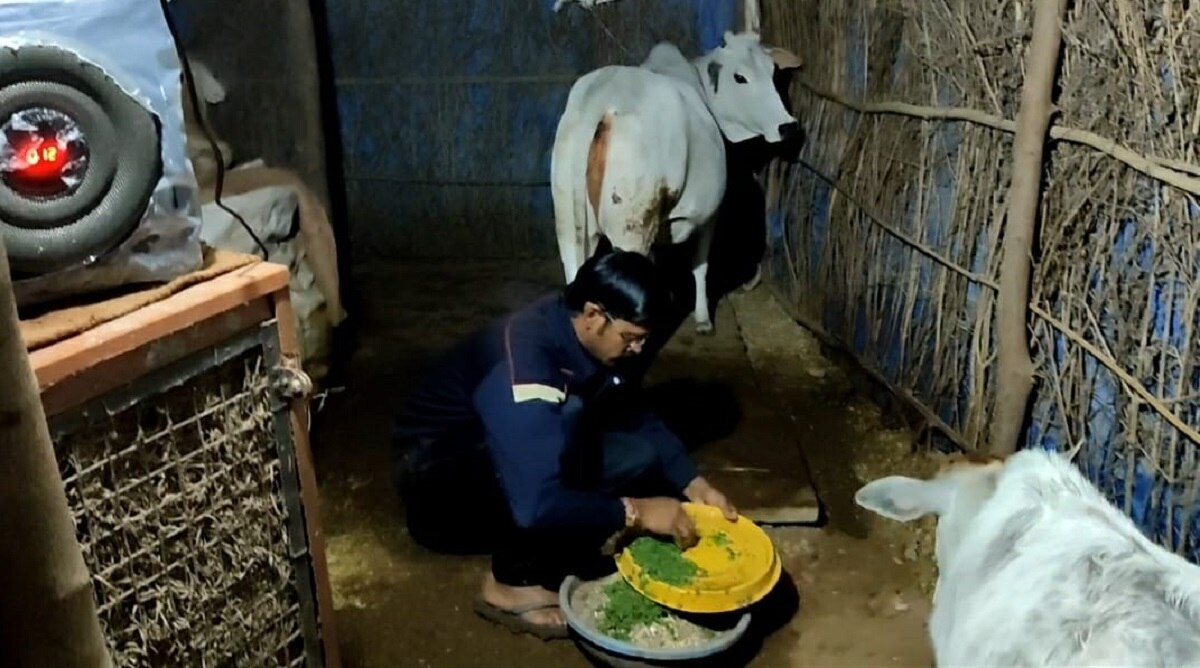 फार्म हाउस में म्यूजिक