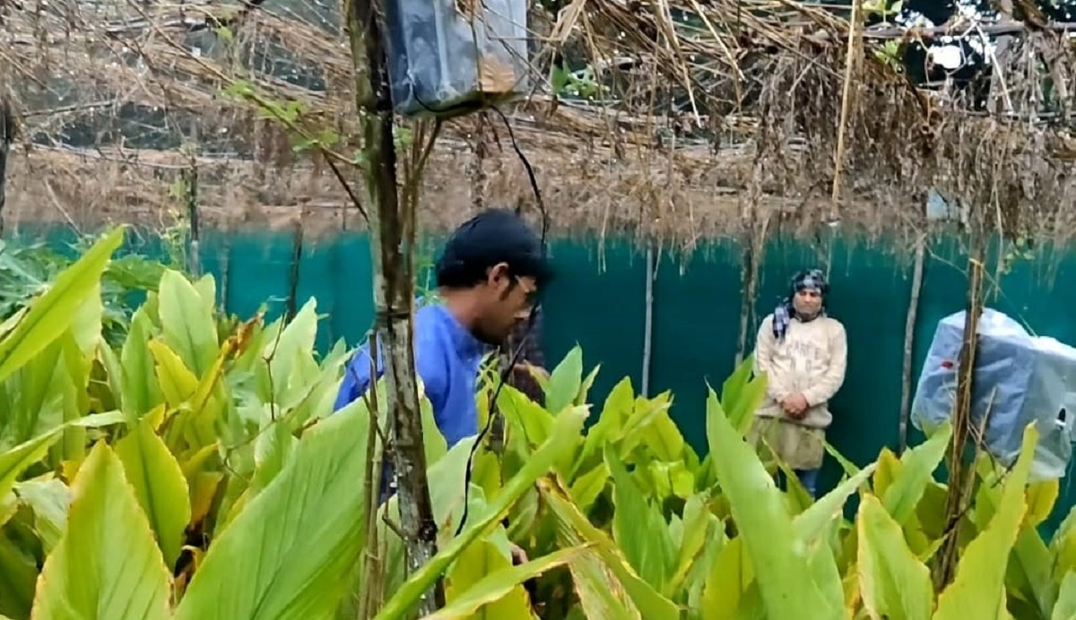 फार्म हाउस में म्यूजिक