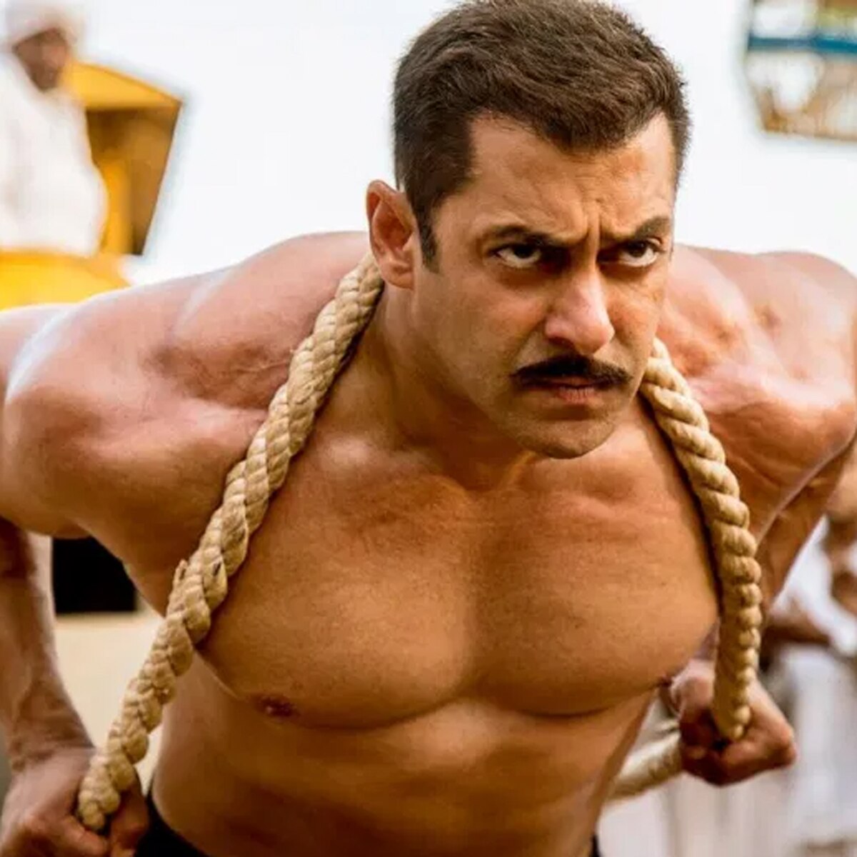 सलमान खान (सुल्तान)