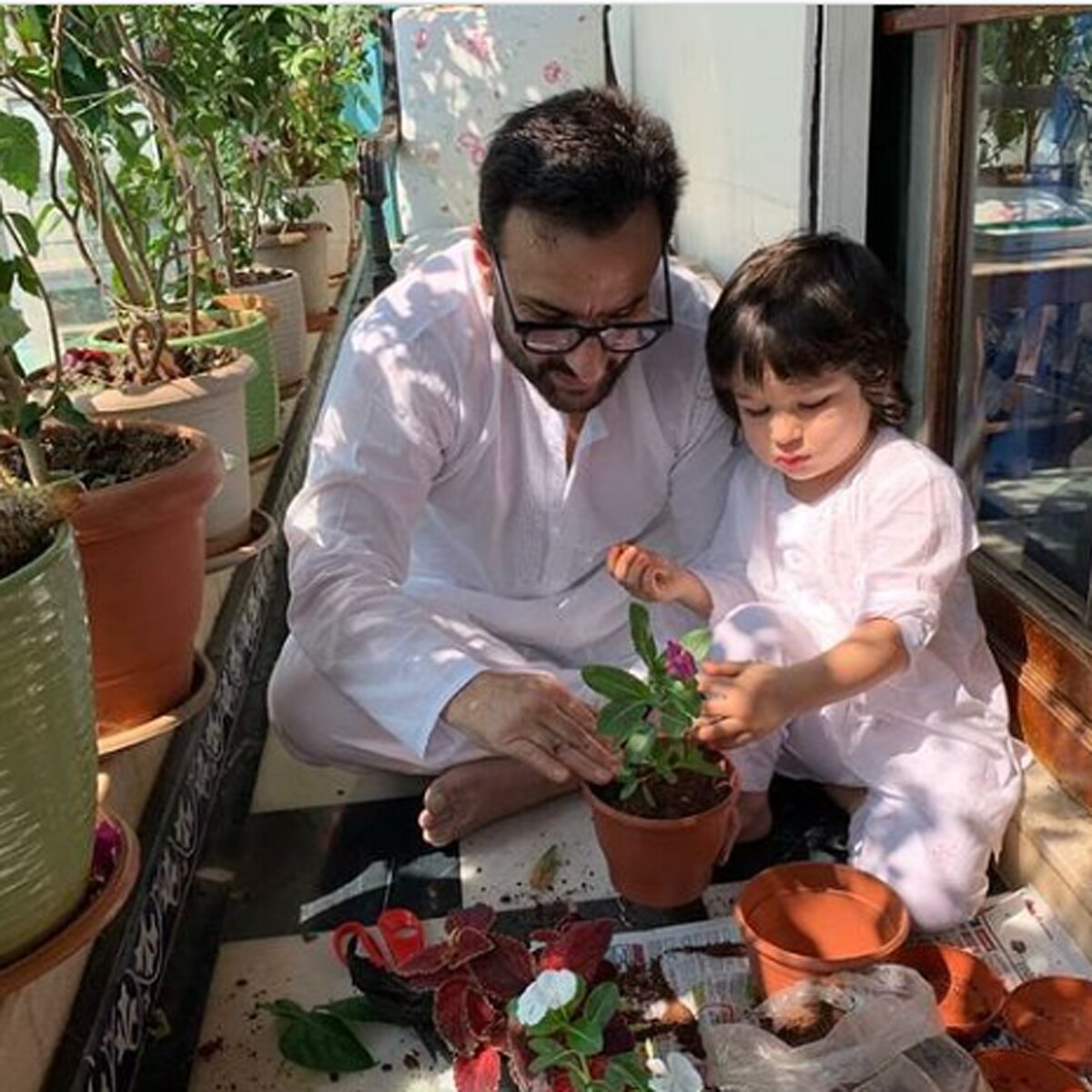 सैफ अली खान