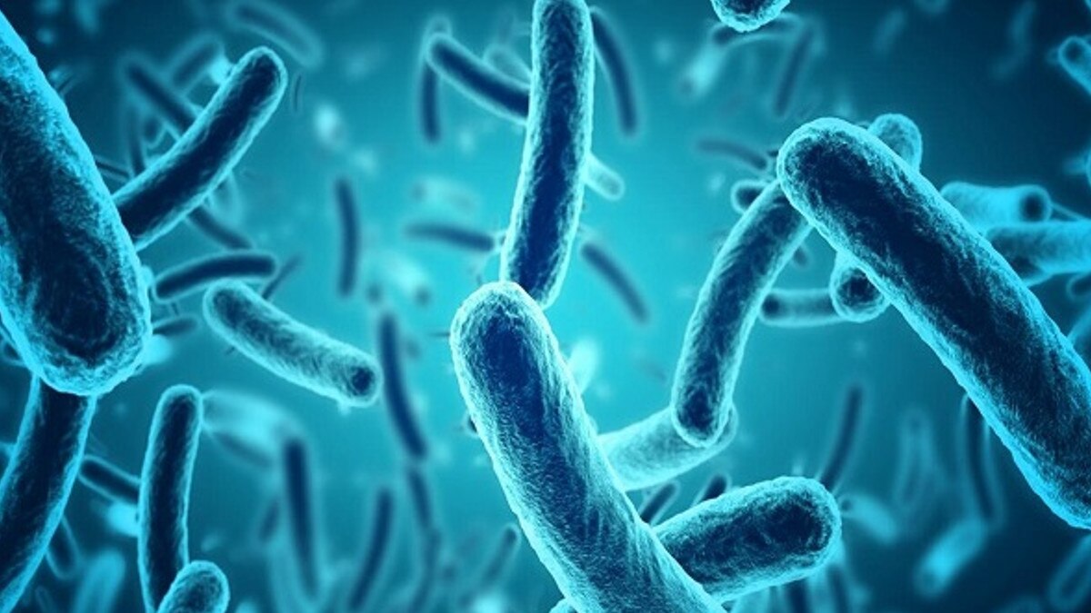 कोविड-19 के बाद केरल में अब शिगेला बीमारी की दस्‍तक, कोरोना जैसे हैं लक्षण  