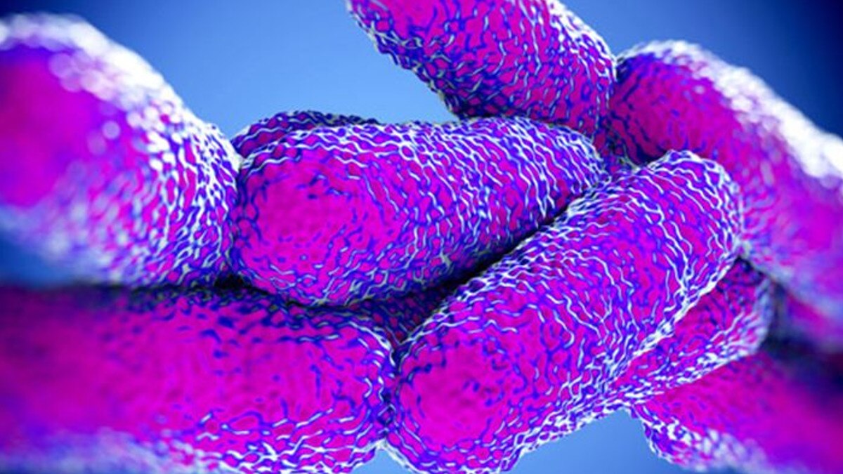 कोविड-19 के बाद केरल में अब शिगेला बीमारी की दस्‍तक, कोरोना जैसे हैं लक्षण  