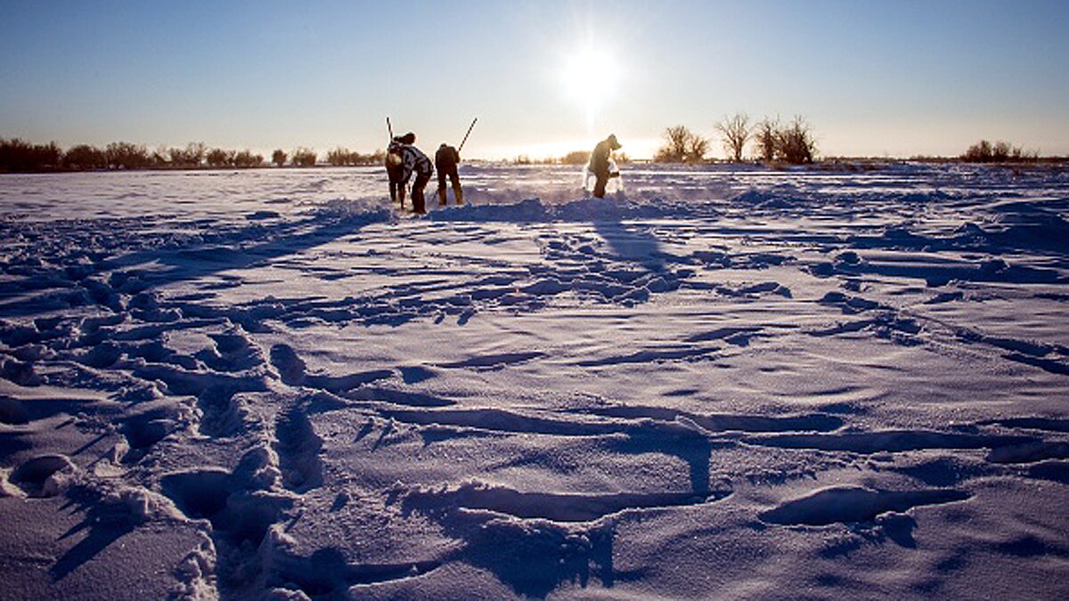 Noodles and Egg Frozen In Air Siberia 