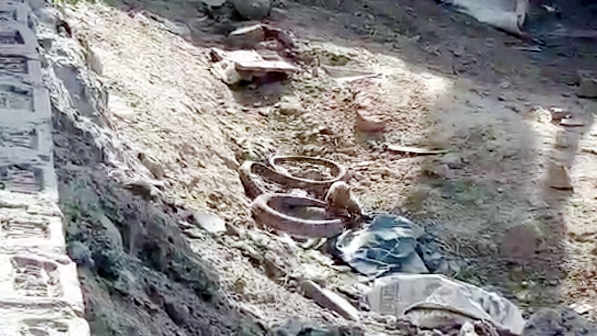 8 फीट लंबे सांप से भिड़ गया नेवला, सोशल मीडिया पर वीडियो वायरल 