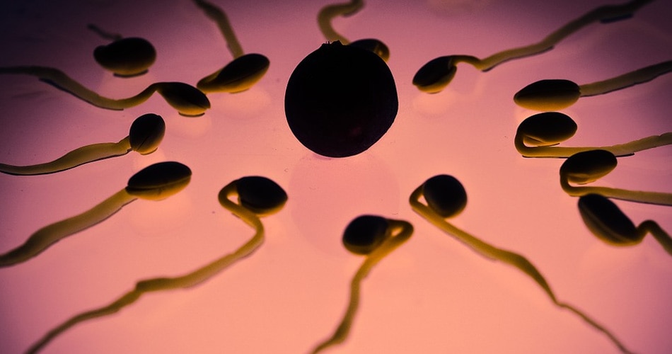 अन्य विकल्प