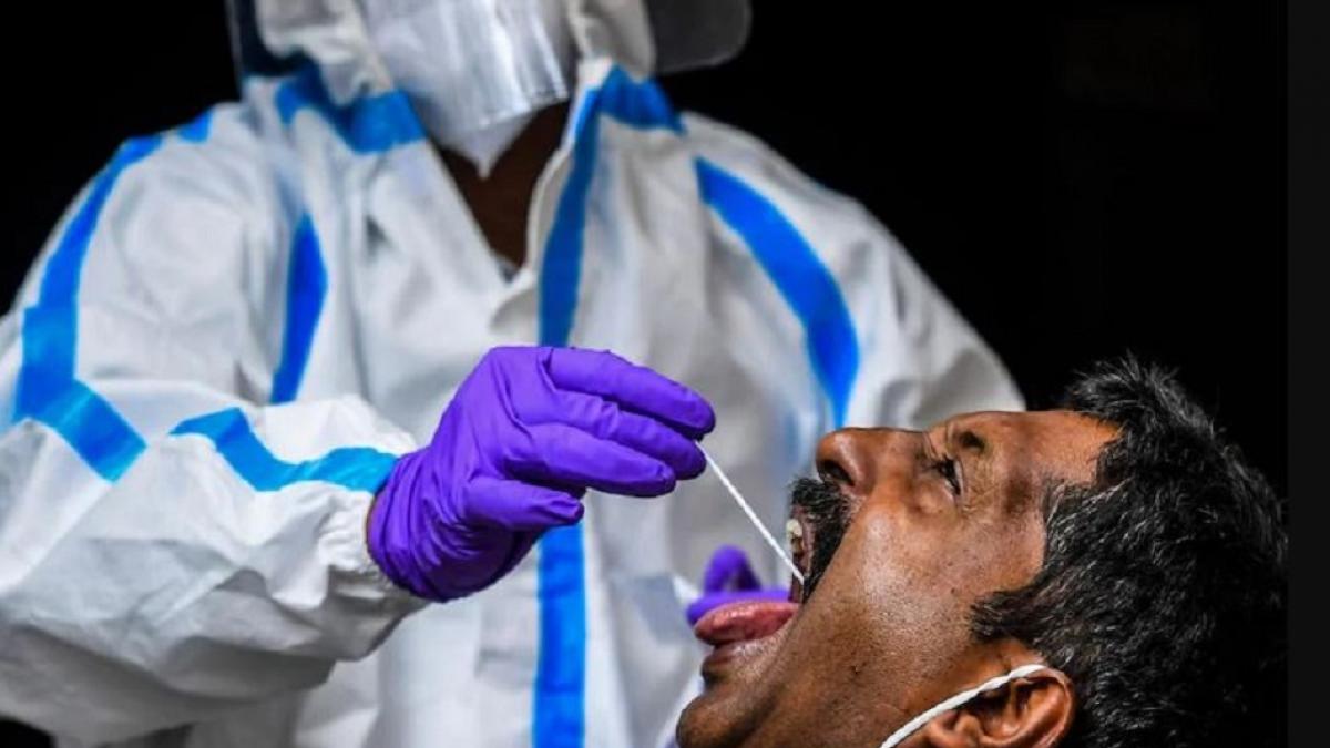 पैकेट खोला तो निकला कोरोना स्वैब टेस्ट का सैंपल