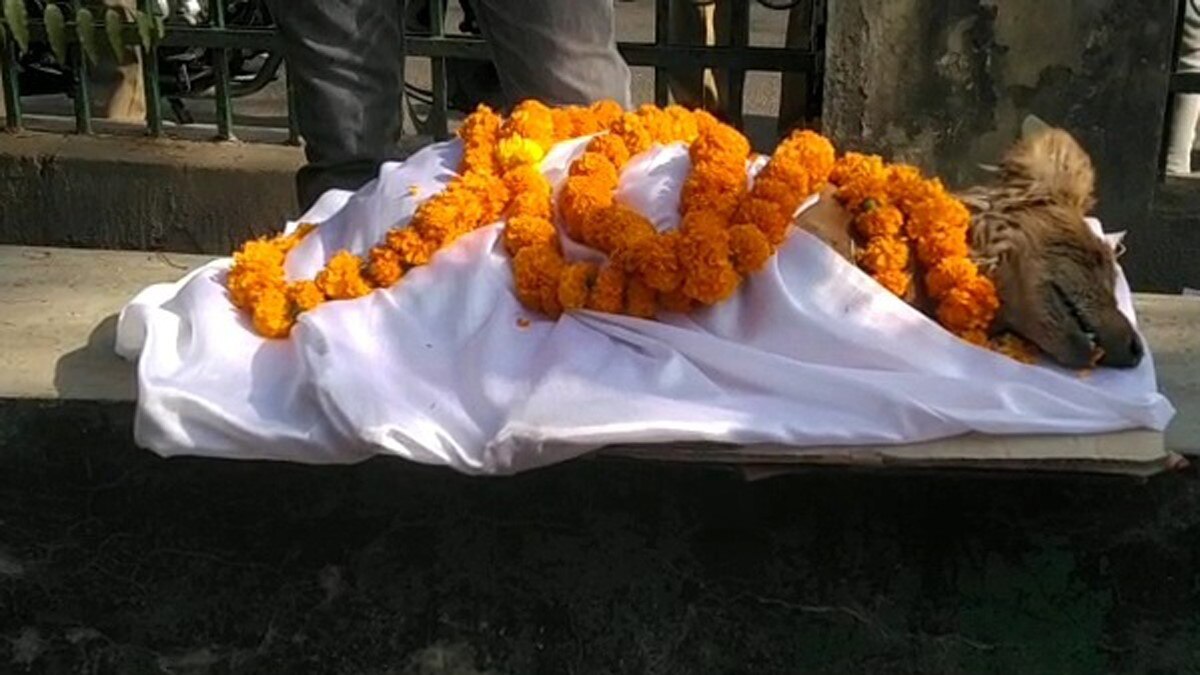 कुत्ते की निकाली अंतिम यात्रा  (फोटो आजतक)