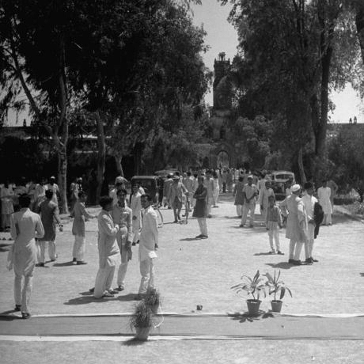 Aligarh Muslim University (credit: GettyImages)