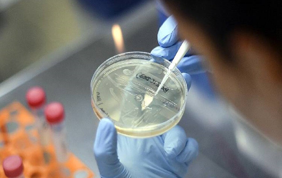 कोरोना का नया रूप