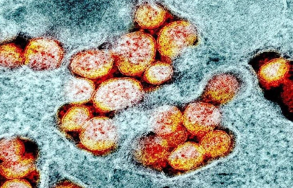 कोरोना का नया रूप