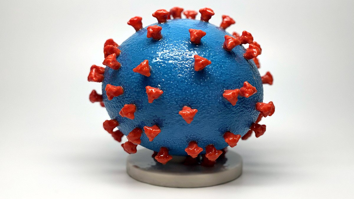 Variant Of Concern 202012/01