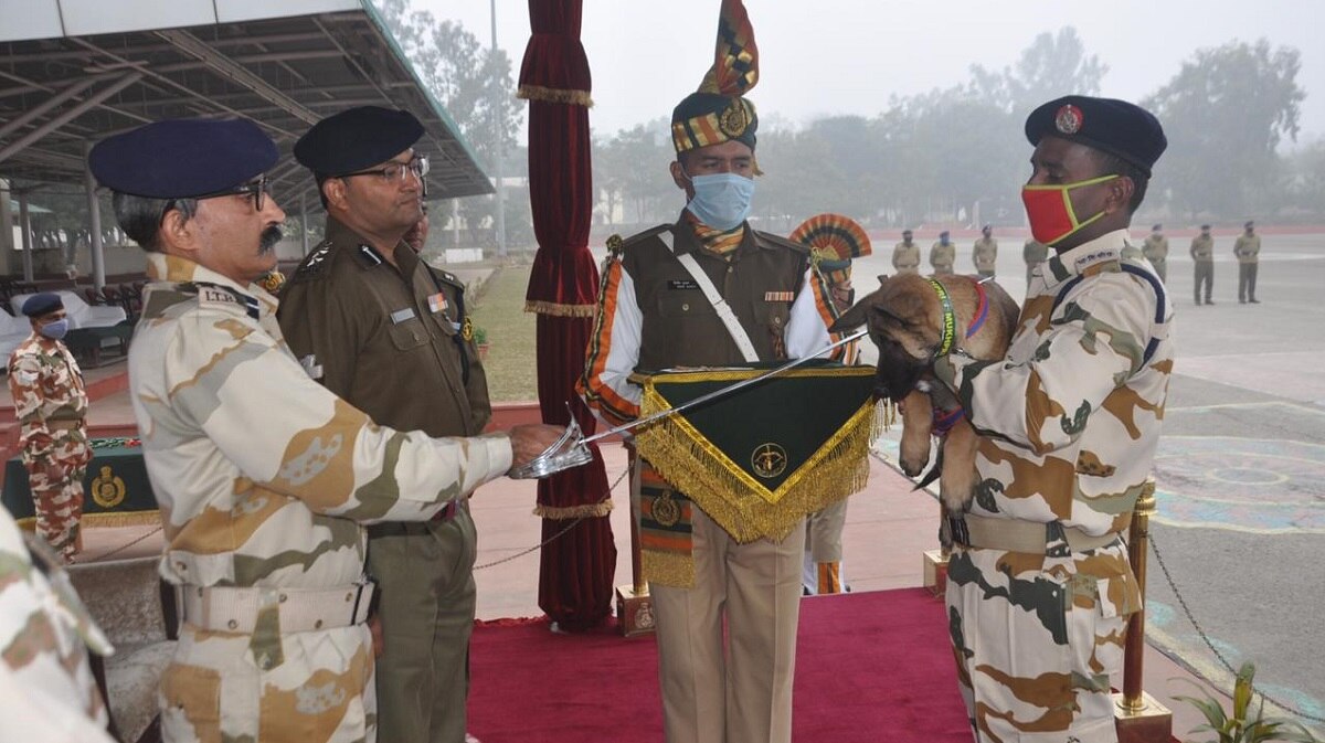 के9 विंग के हैं सभी श्वान