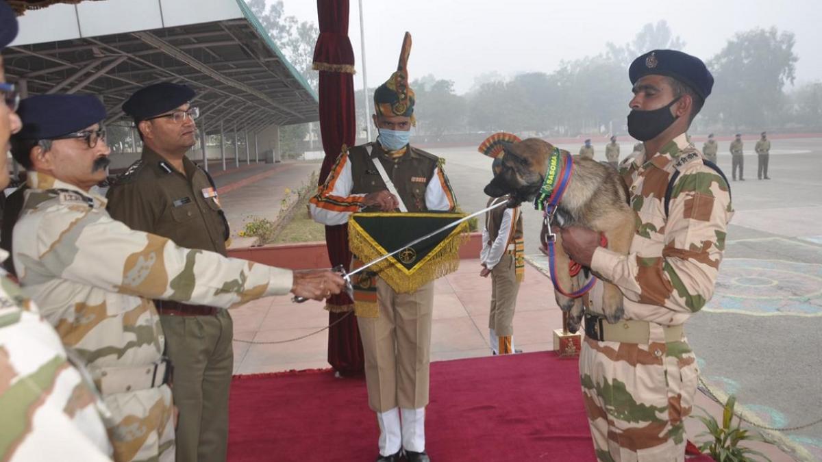 पप्स के नामकरण के लिए बकायदा एक समारोह का आयोजन किया गया
