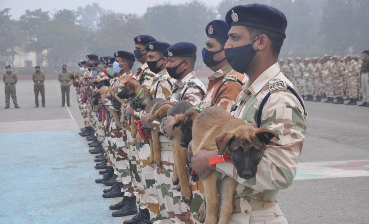 17 पप्स का हुआ नामकरण