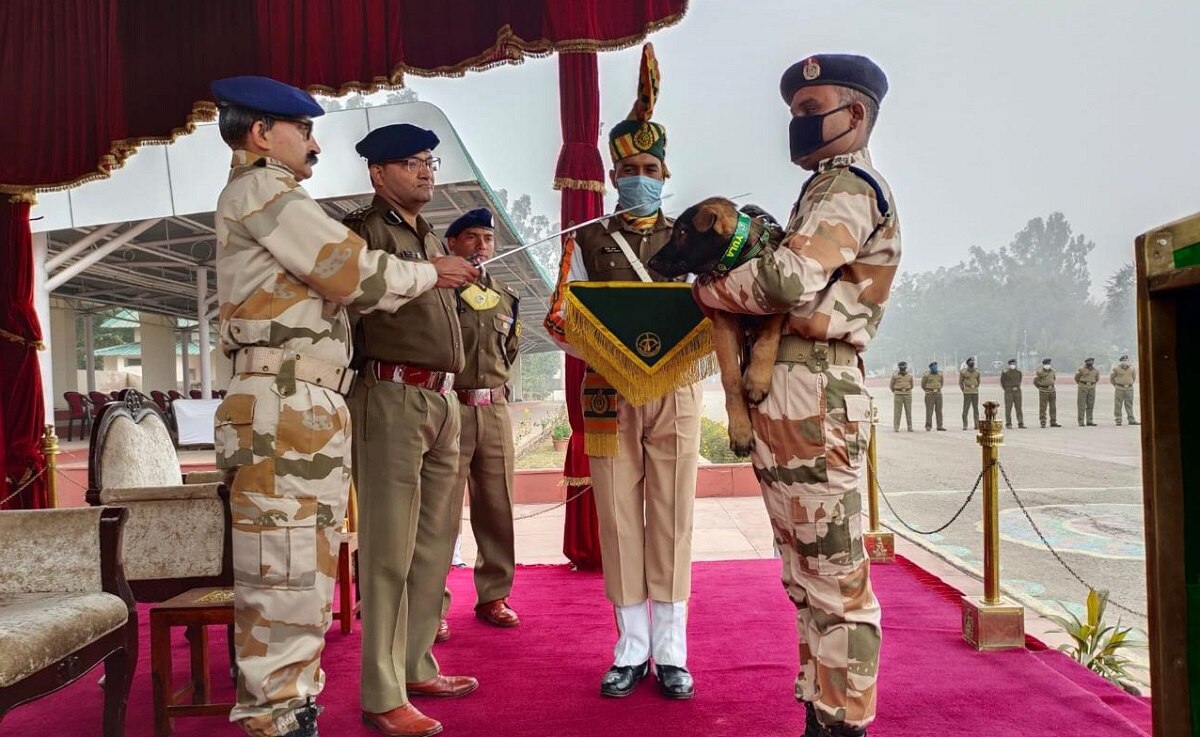 सीमा पर जवानों के साथ तैनाती