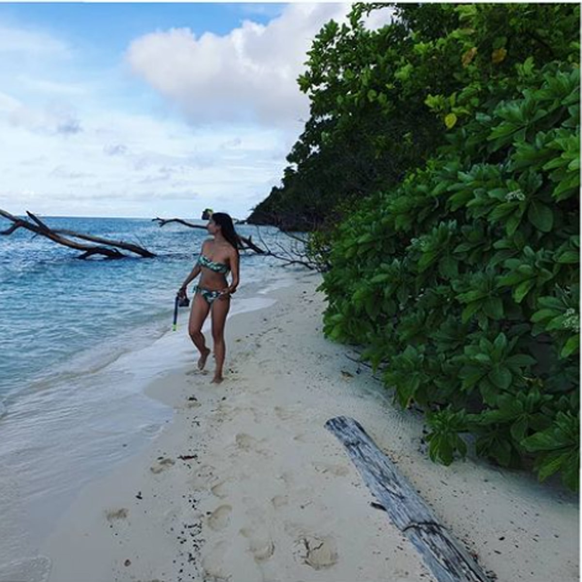 तनीषा मुखर्जी