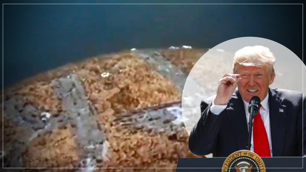 डोनाल्ड ट्रंप और समुद्री जीव