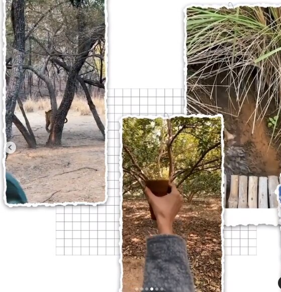 दीपिका पादुकोण 