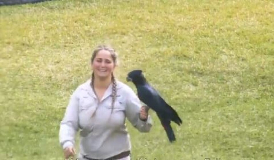 प्यार का इजहार