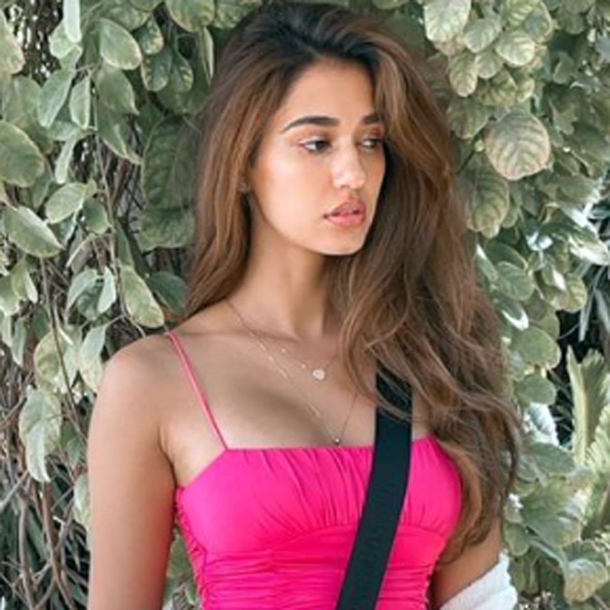 दिशा पाटनी 