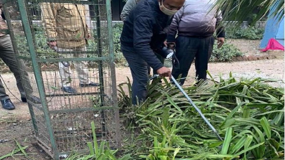  इजरायली दूतावास के बाहर धमाका