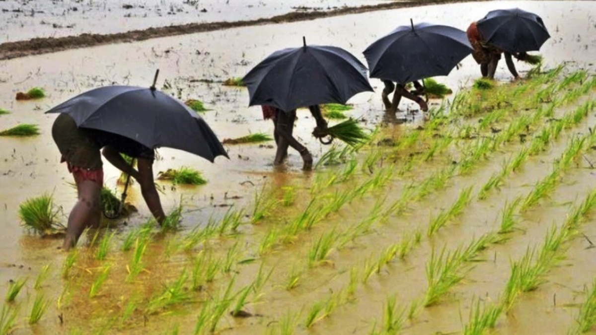 कृषि सेक्टर के लिए भी अहम ऐलान हो सकते हैं