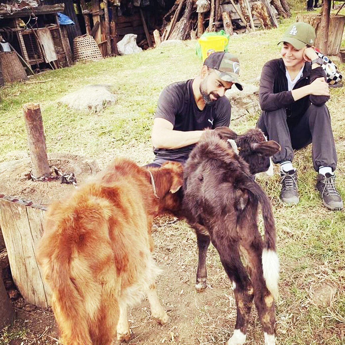 अनुष्का-विराट