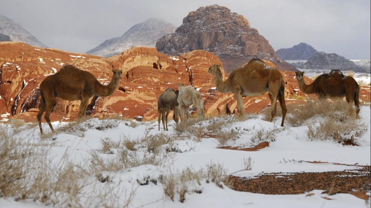 Photo Credit: Reuters (Representational Image)