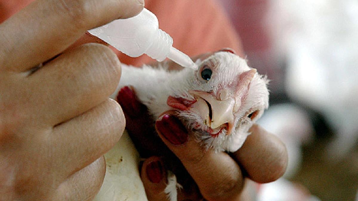 Photo Credit: Getty Images