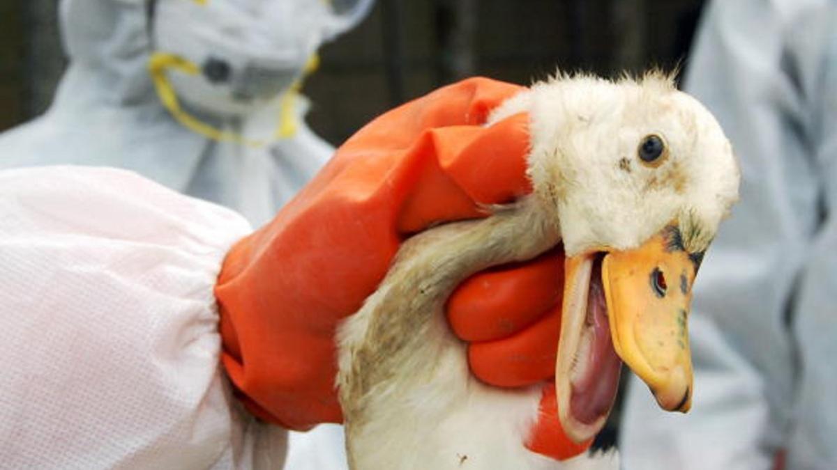 Photo Credit: Getty Images