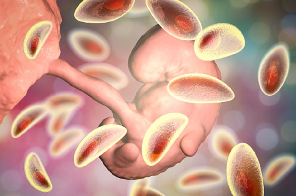 क्या कहते हैं शोधकर्ता?