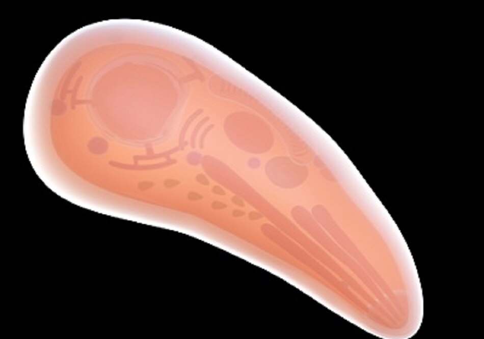 बड़े और विविध समूहों पर शोध की जरूरत