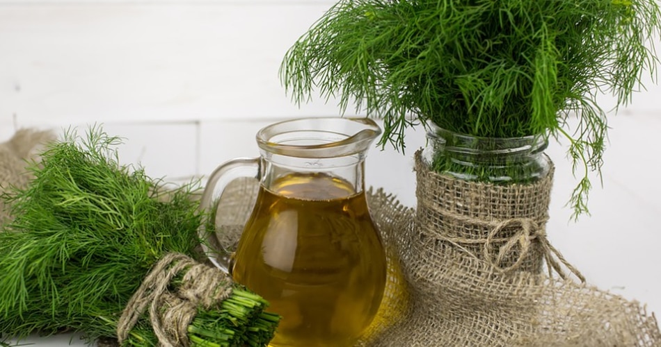 कैनोला ऑयल