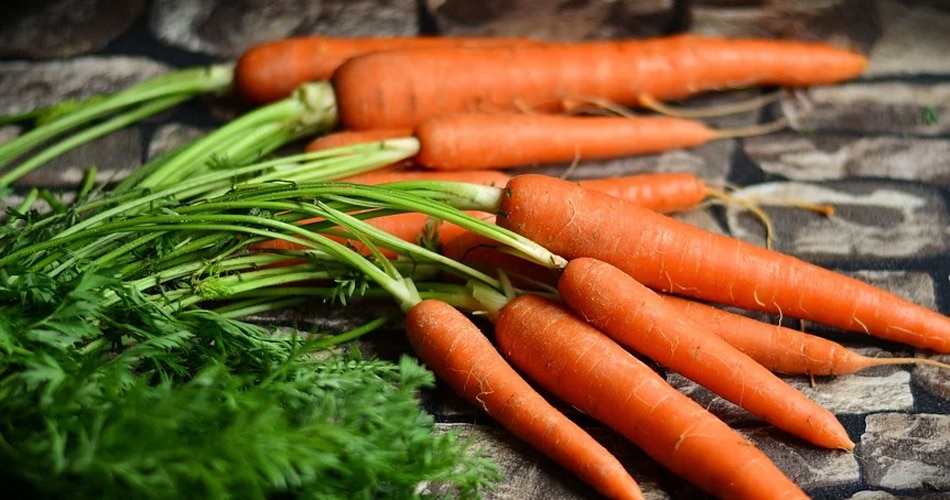 नारंगी सब्जियां