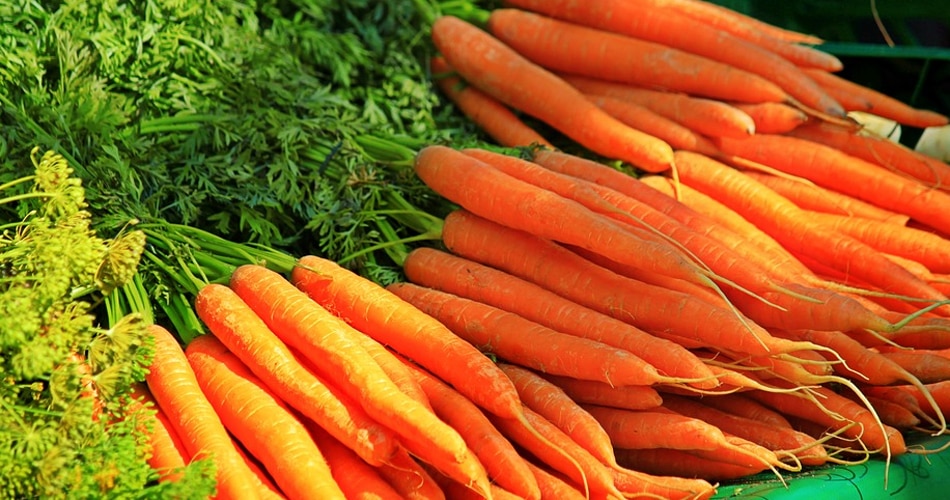गाजर