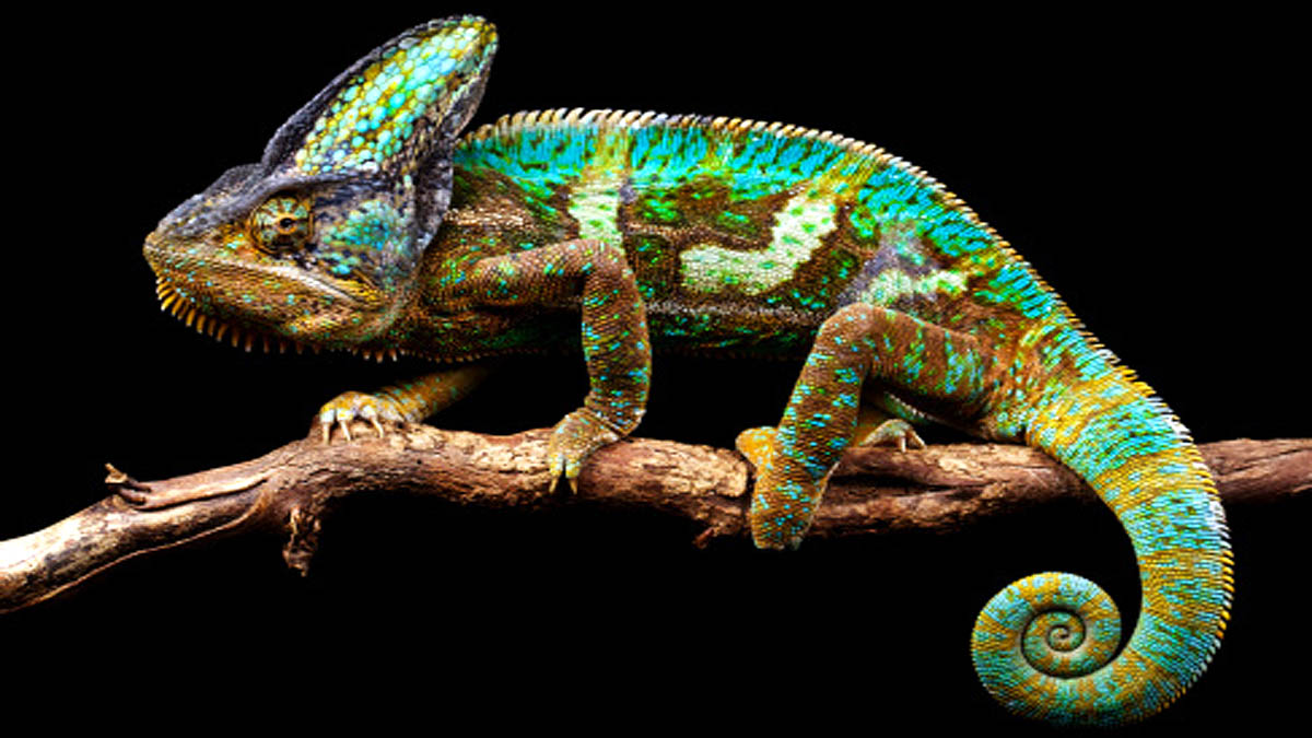 Scientists develop Smart Stem Cells with regenerative abilities 