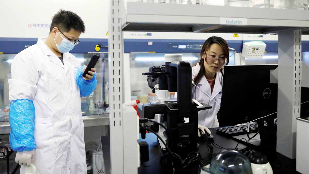 Gene Therapy could delay Ageing