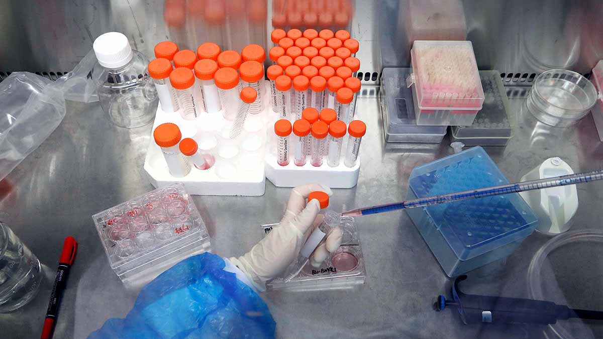 Gene Therapy could delay Ageing