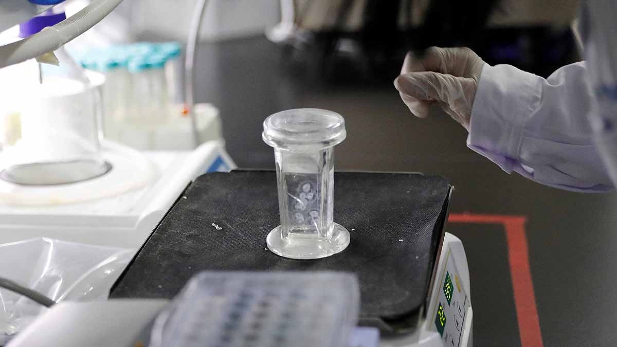 Gene Therapy could delay Ageing