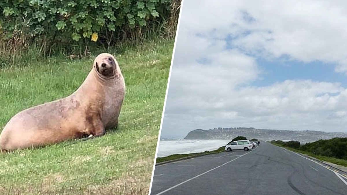 प्रतीकात्मक तस्वीर