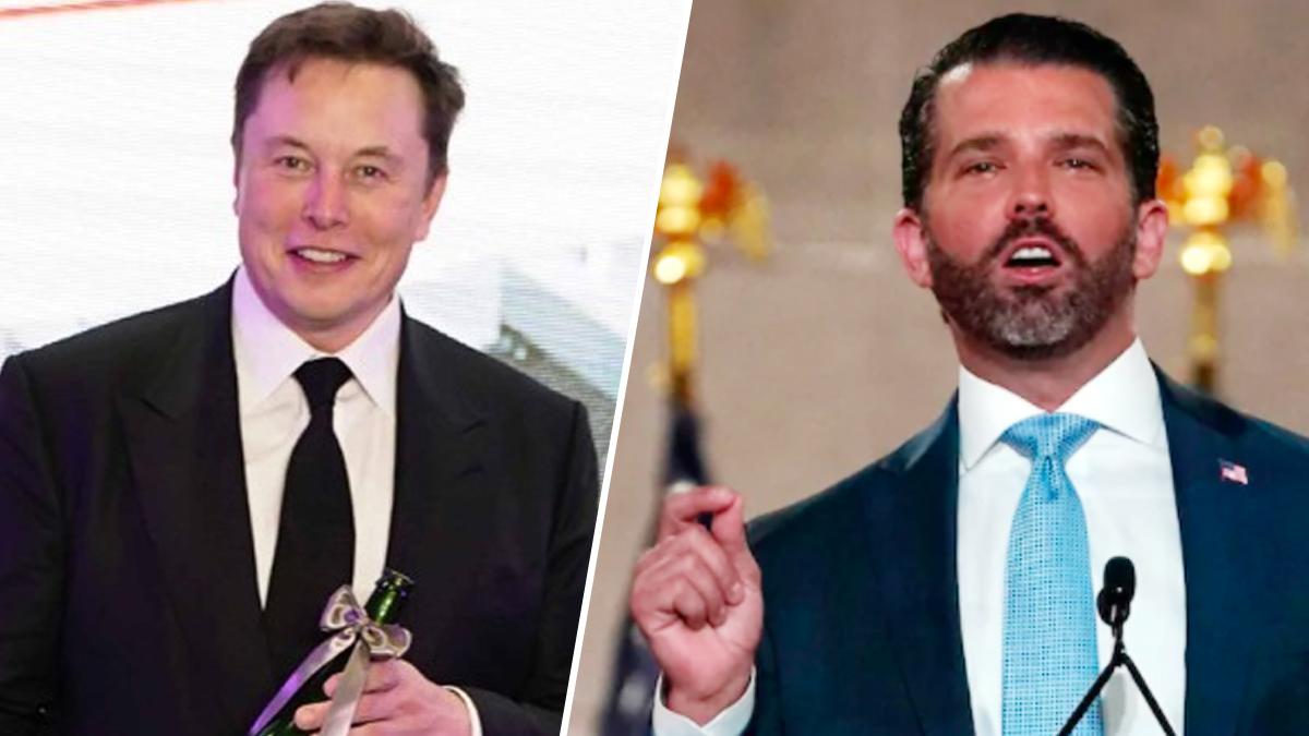 एलन मस्क और डोनाल्ड ट्रंप जूनियर