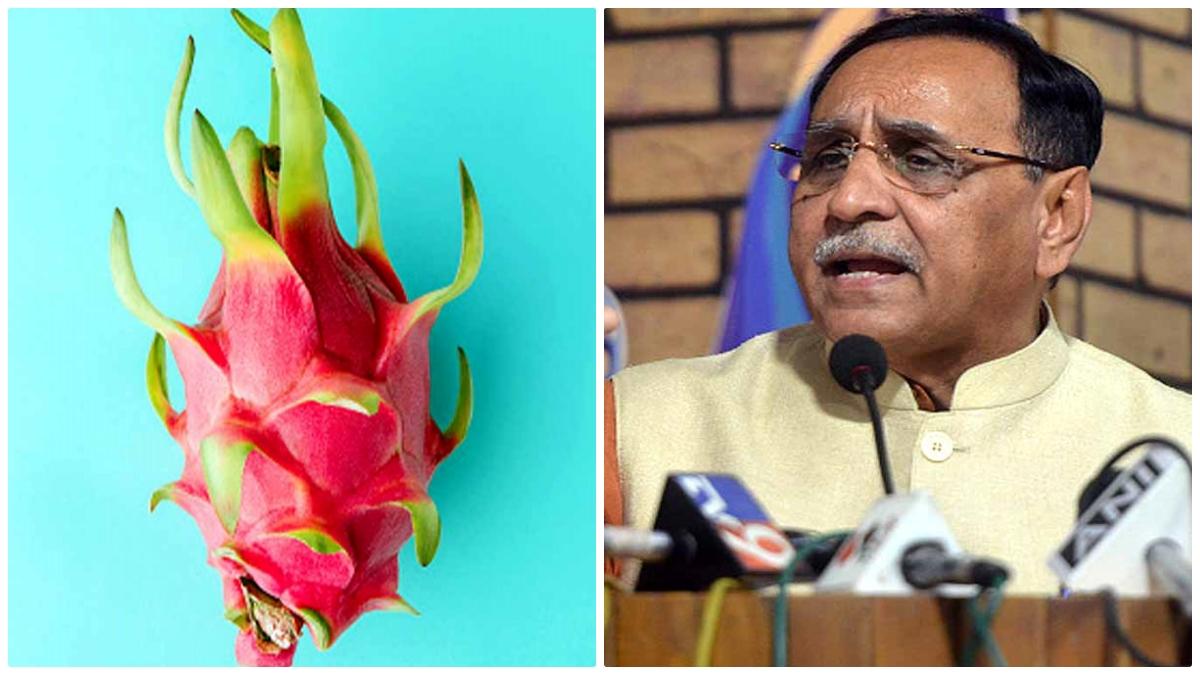 Dragon Fruit Vijay Rupani Kamalam