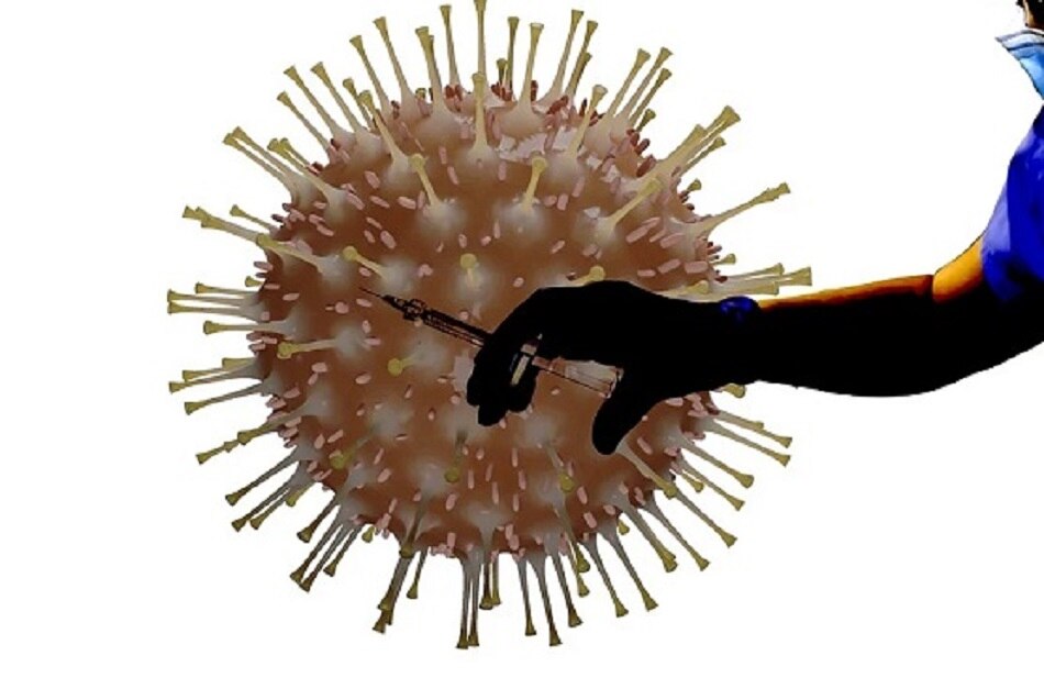 एंटीजन की पहचान कर लेता है इम्यून