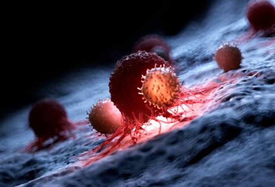 गंभीर बीमारियों से बचाव किया