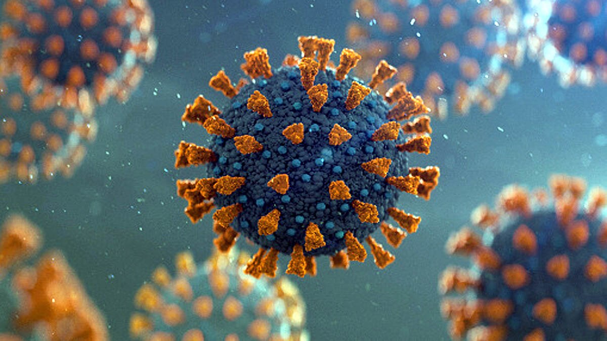 Smokers Vegetarians has lesser Seropositivity for Corona