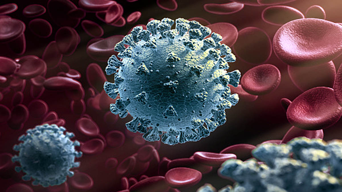 Smokers Vegetarians has lesser Seropositivity for Corona