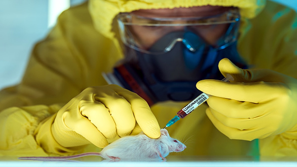 Coronavirus may hide in patients brain