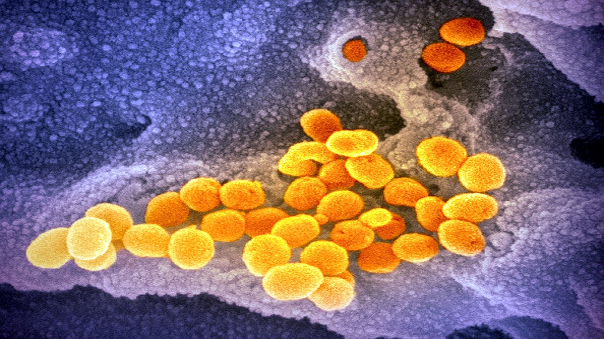 Covid-19 new variant raises reproduction R number